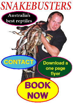 Book your reptile show