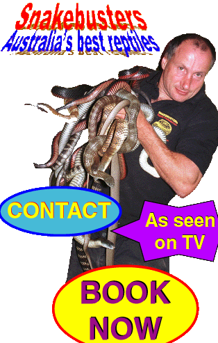 For Melbourne Victoria Australia Snake Catchers call snake busters for a snake catcher