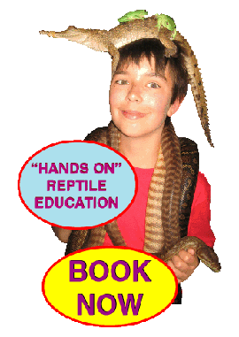 snake catching Melbourne Snake handling courses