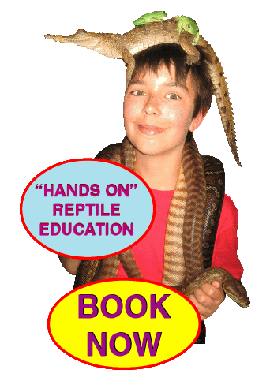 Snake handling courses