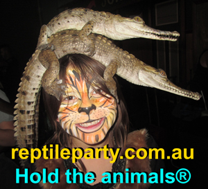 reptile party shows Melbourne