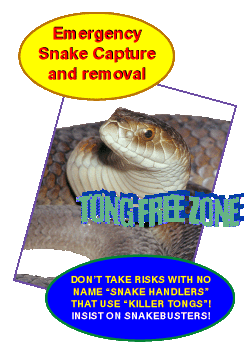 emergency venomous snake removal, Melbourne