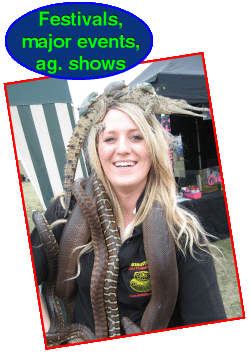 snake show at festivals, events and the like