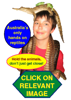 Melbournes only hands on wildlife shows