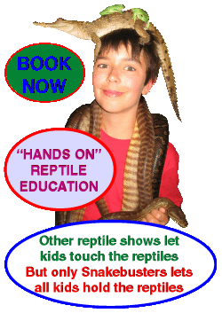 hands on reptile parties