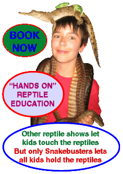 reptile parties Melbourne kids parties