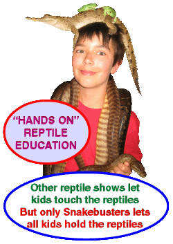 Melbourne reptile party