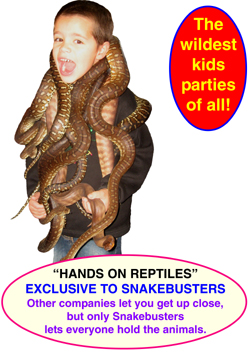 kids reptile party Melbourne hands on
