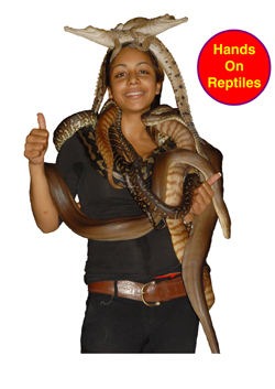 kids reptile party Melbourne hands on