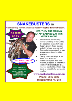 kid's reptile party Melbourne