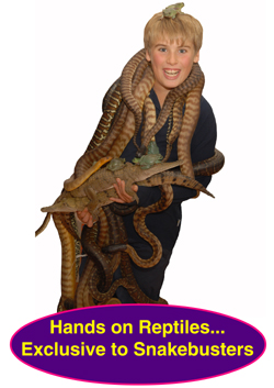 kid's reptile party Melbourne