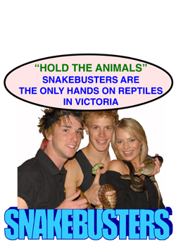 kid's reptile party Melbourne