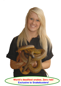 children's reptile birthday party booking Melbourne 