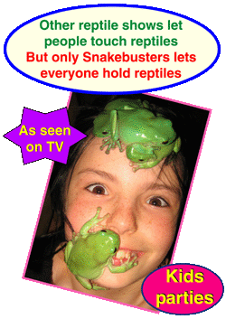 kid's reptile party Melbourne