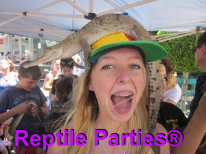 reptile party shows Melbourne