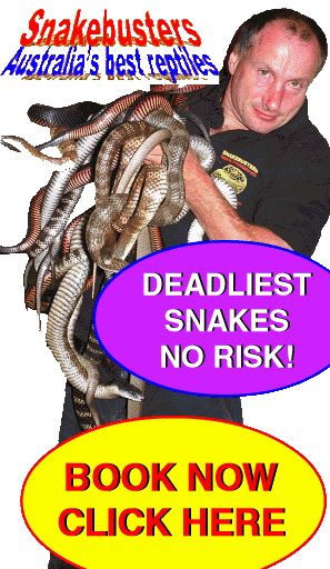 The best kid's party is a Snakebusters kids party!