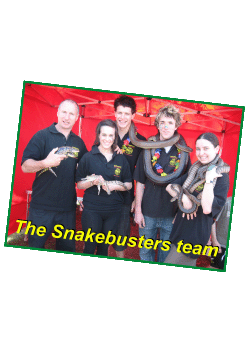 snake busters expert reptile handlers, Melbourne