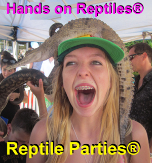 reptile party shows Melbourne