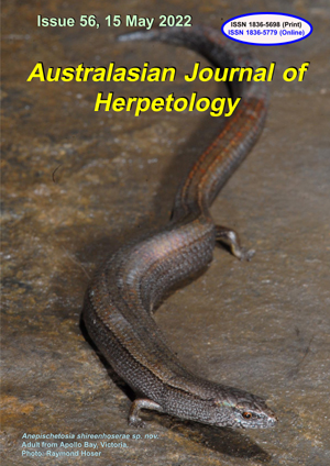 Anepischetosia shireenhoserae