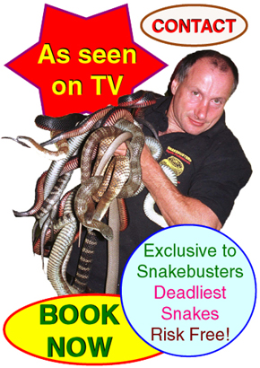 snake man shows Melbourne