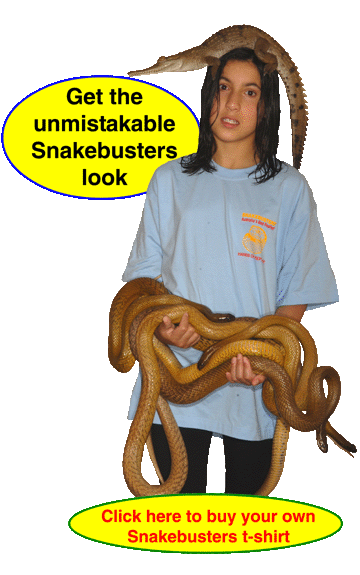 kids party tshirt